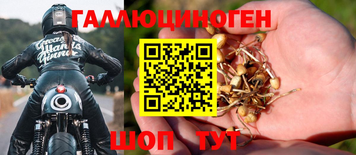 А ПВП СОЛЬ   ГАШ  Меф МЯУ МЯУ кристаллы  Кимры  Вход с VPN  Марихуана  Гашиш  Cocaine 